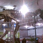 T-Rex at ESC